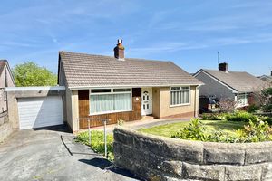 Front- click for photo gallery